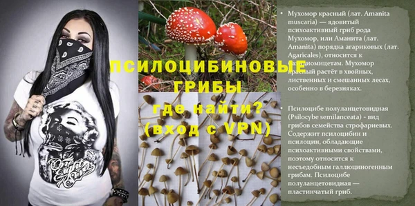 героин Алексин