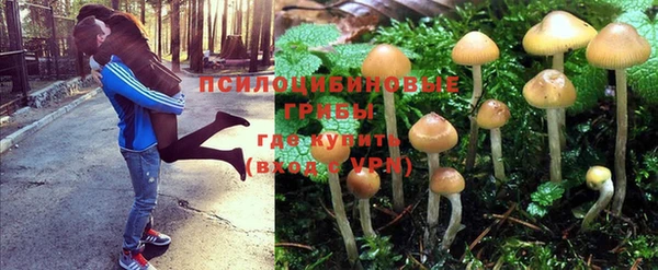 героин Алексин