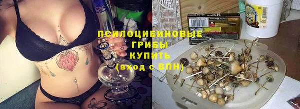амфетамин Алексеевка
