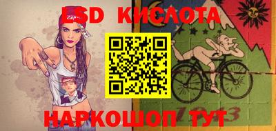 шишки Бердск