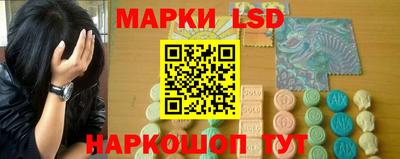 шишки Бердск