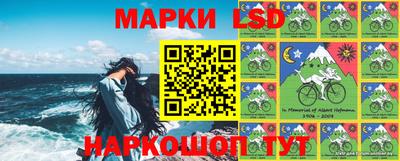 шишки Бердск