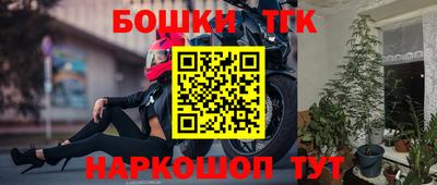 шишки Бердск