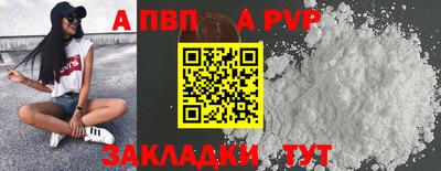 шишки Бердск