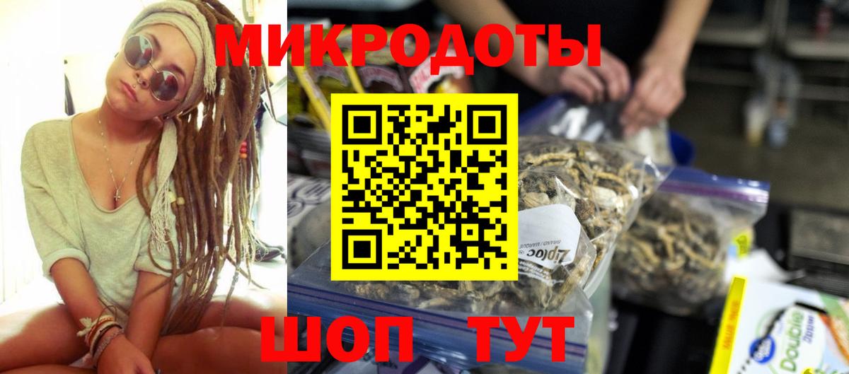 Псилоцибиновые грибы Psilocybe Биробиджан