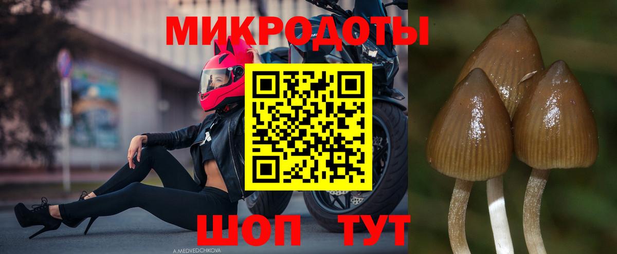 Биробиджан  Галлюциногенные грибы мицелий  как найти наркотики  Вход с VPN 