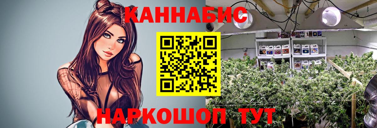 МАРИХУАНА марихуана Биробиджан